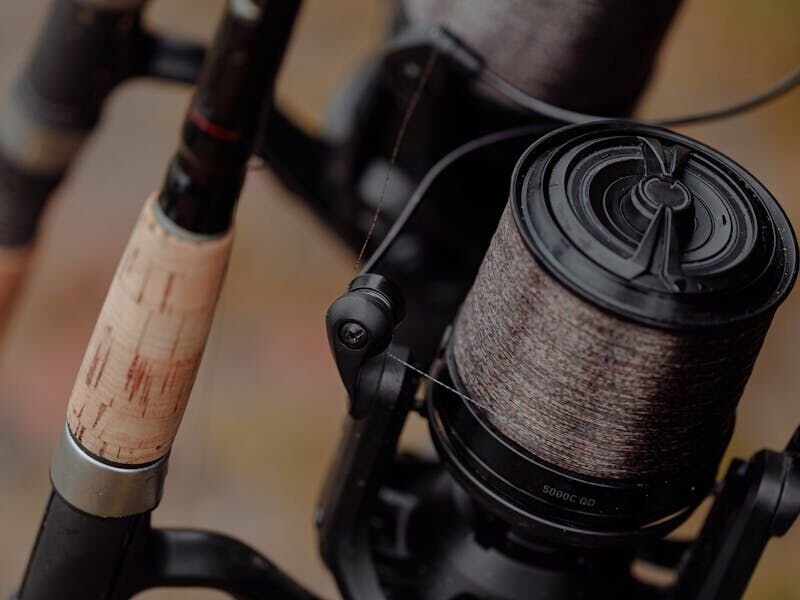 Fishing rods and reels at 4th Street Tackle St Petersburg FL