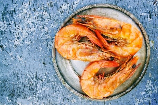 Live shrimp and bait at 4th Street Tackle St Pete